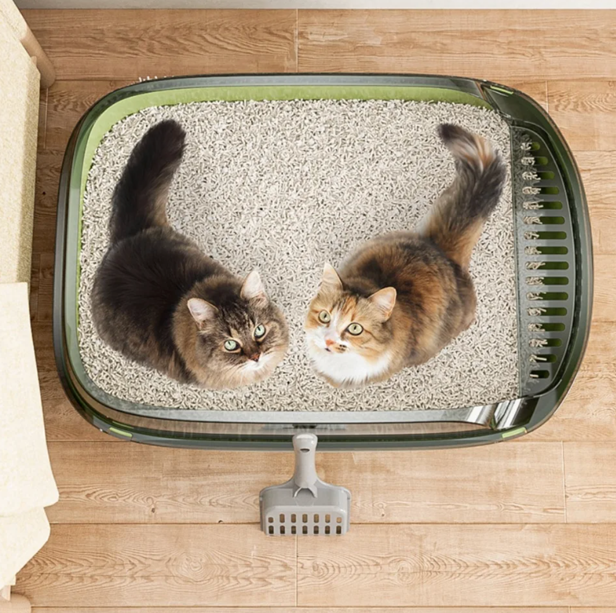 CleanSpace Cat Litter Box