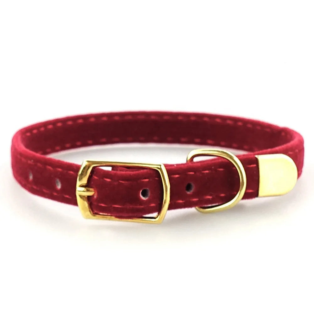 SoftPaw Ring