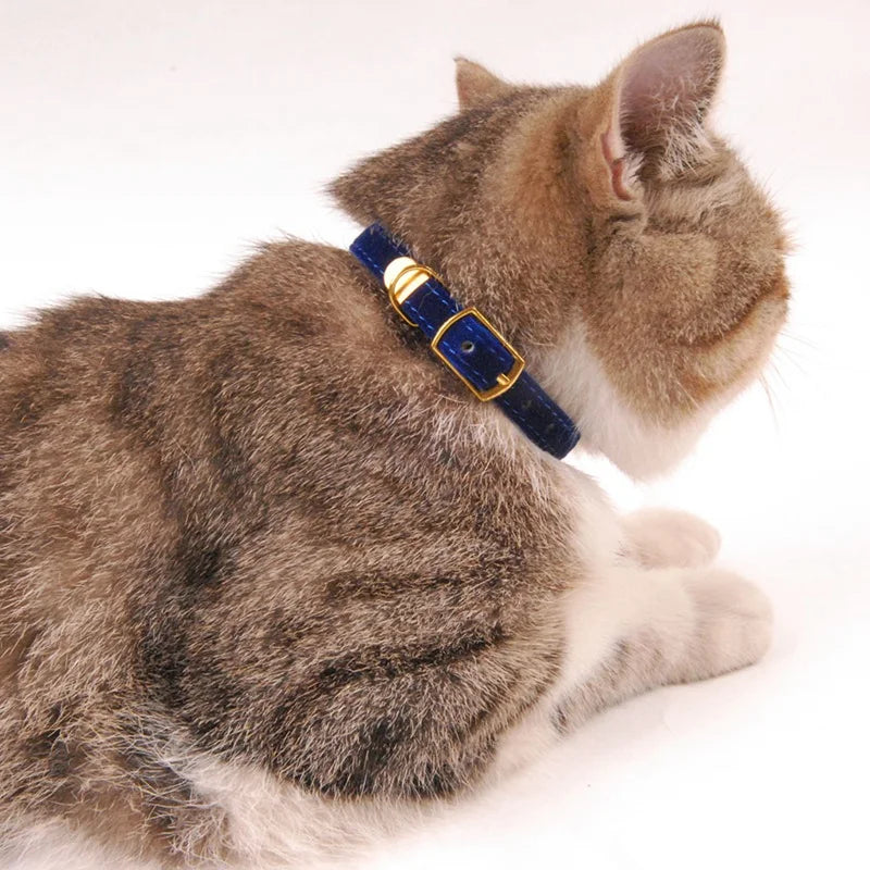 SoftPaw Ring