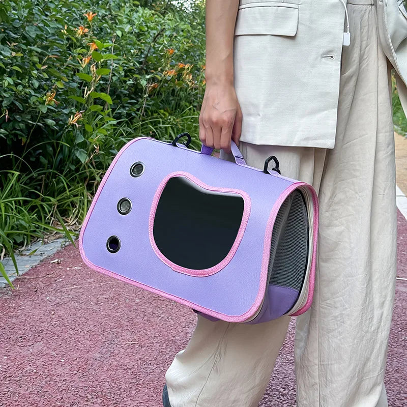 VistaView Transparent Pet Carrier
