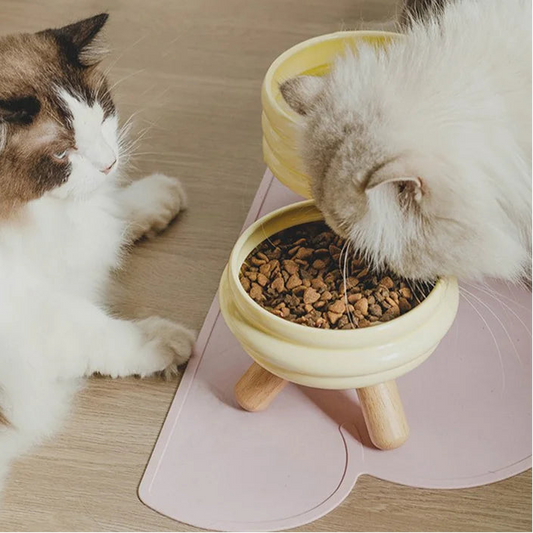 Cloudy Pet Feeding Mat