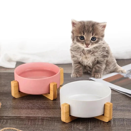 Nordic Ceramic Double Pet Bowl