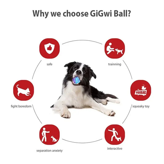 Gigwi Pet Toys Interactive Dog Ball G-Ball Series Squeaky Balls Dog Toys 2.5” for Small/Medium Dogs Bouncy And Assorted Colors