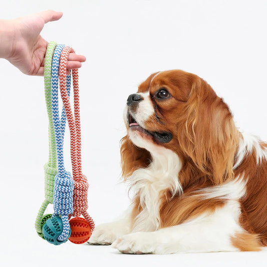 Pet Tooth Cleaning Pet Ball Toy with Rope Rubber Leaking Balls Toy for Small Large Dogs Puppy Chewing Bite Resistant Toys
