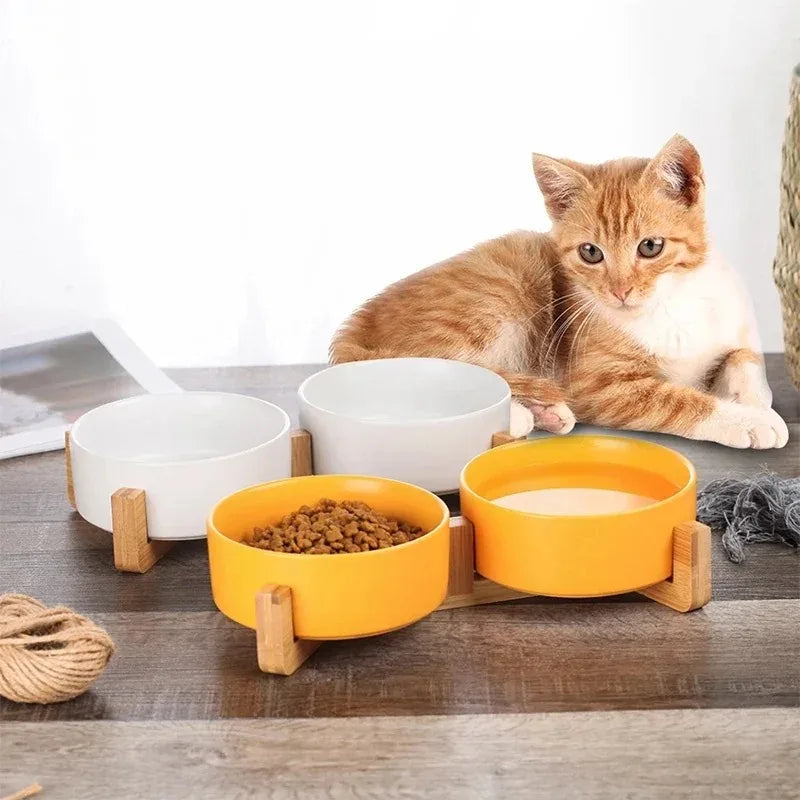 Nordic Ceramic Double Pet Bowl