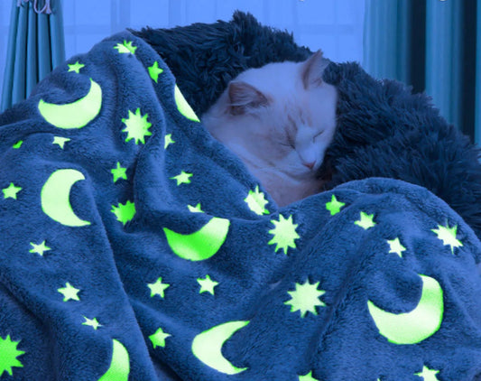 GlowPaws Luminous Pet Blanket