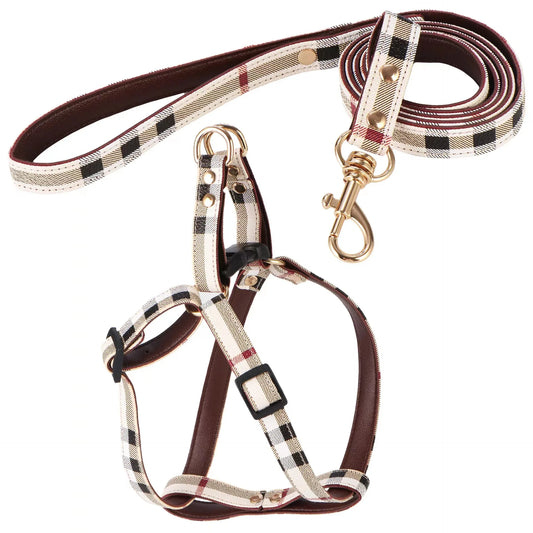 Trendy Brand New Product, Aged Leather Pet Supplies, Adjustable Cute Pet Chest And Back, Dog And Cat Leash Set