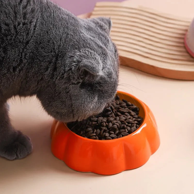 Fruit Bliss Ceramic Pet Bowl