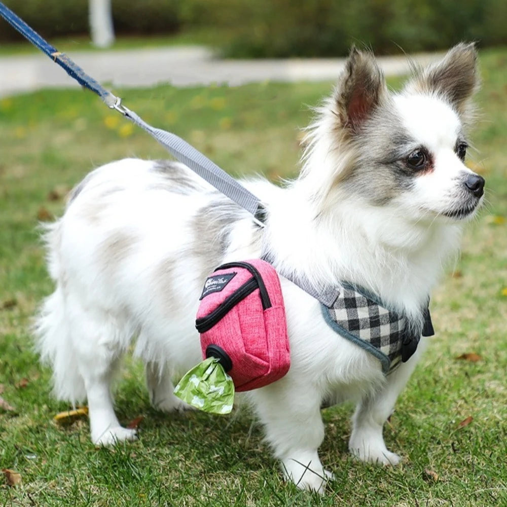 TreatMate Mini Training Pouch