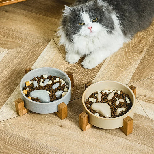 Paws Ceramic Slow Feeder Bowl