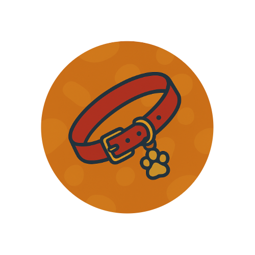 Collars & Leads