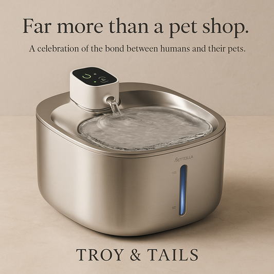 LuxeFlow Wireless Pet Water Fountain