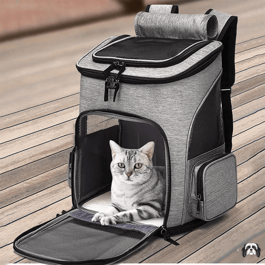 FlexiNest Expandable Pet Carrier Backpack