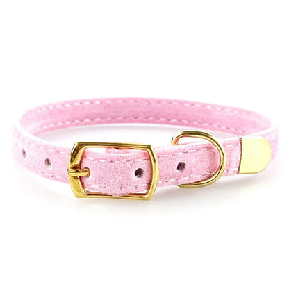 SoftPaw Ring
