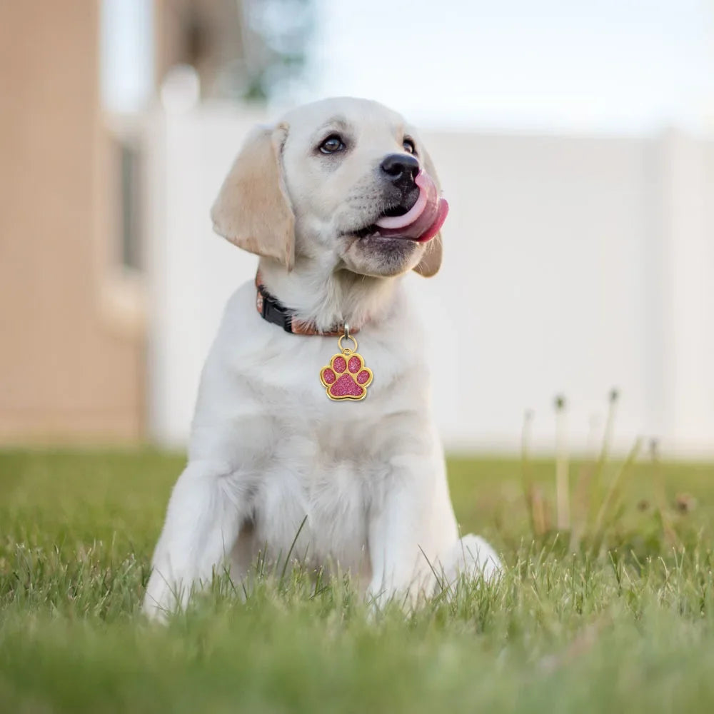 GlamPaw ID