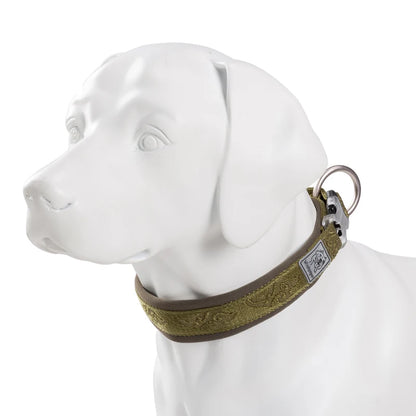 TRUELOVE Adjustable Padded Pet Dog CollarComfort and Ventilation Pull-resistant Explosion proof Personalized Printing YC1853