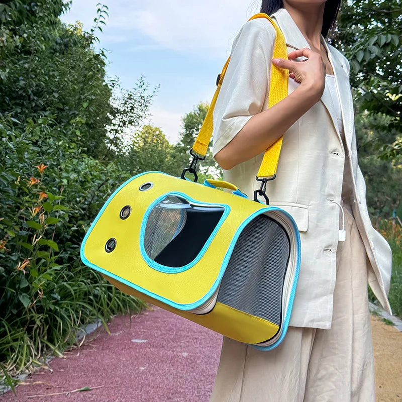 VistaView Transparent Pet Carrier