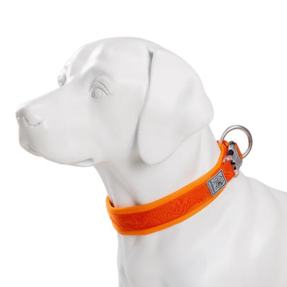 TRUELOVE Adjustable Padded Pet Dog CollarComfort and Ventilation Pull-resistant Explosion proof Personalized Printing YC1853