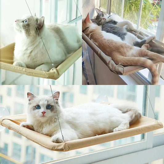SunnyPaws: Hamaca para gatos con ventosas resistentes para ventana