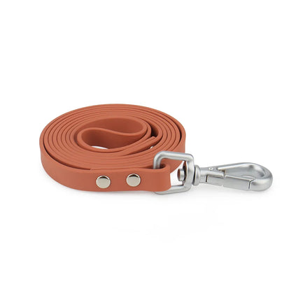 PVC Long Dog Leashes Cat Traction Lead Rope Candy Color Outdoor Short Pet Leash Blue Rose Red Yellow