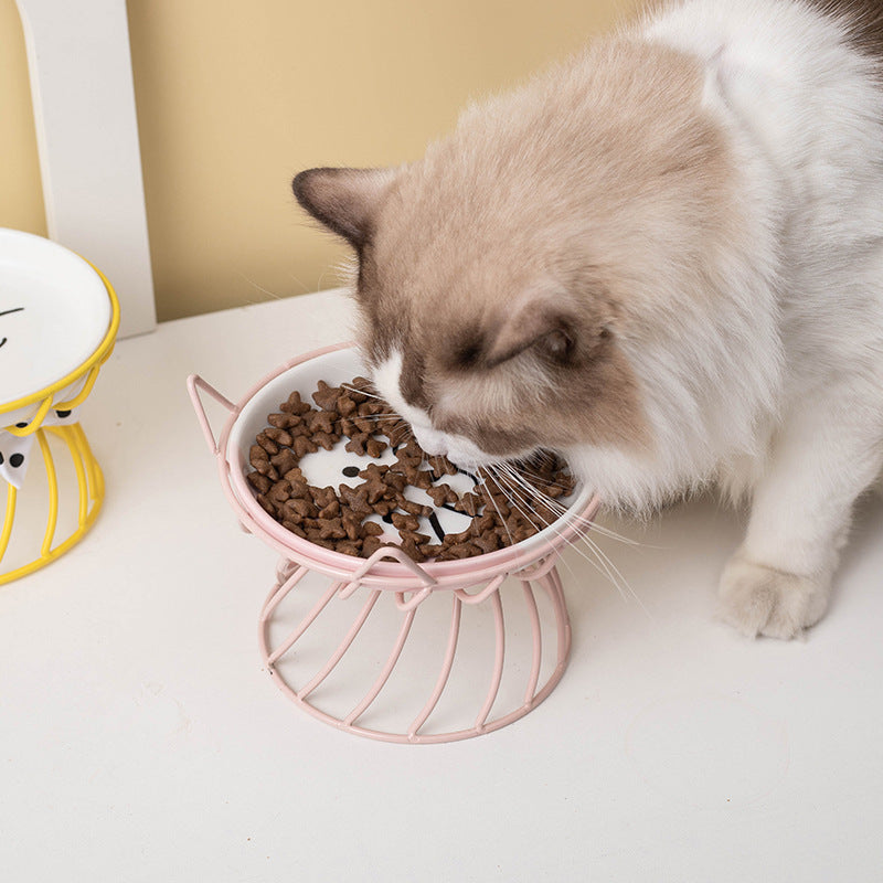 Ceramic Elevated Kitty Bowl