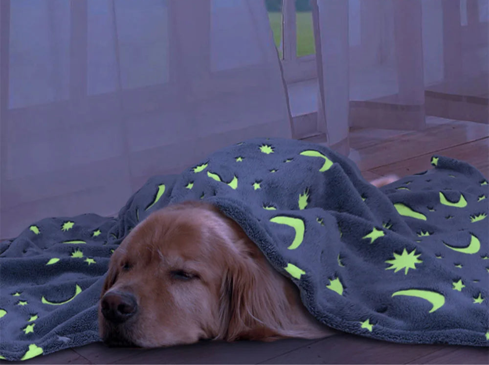 GlowPaws Luminous Pet Blanket