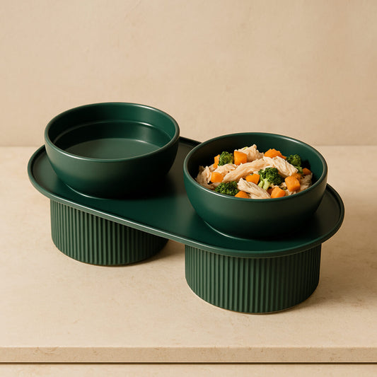 Elevated ceramic pet bowl – minimalist design for cats and small dogs